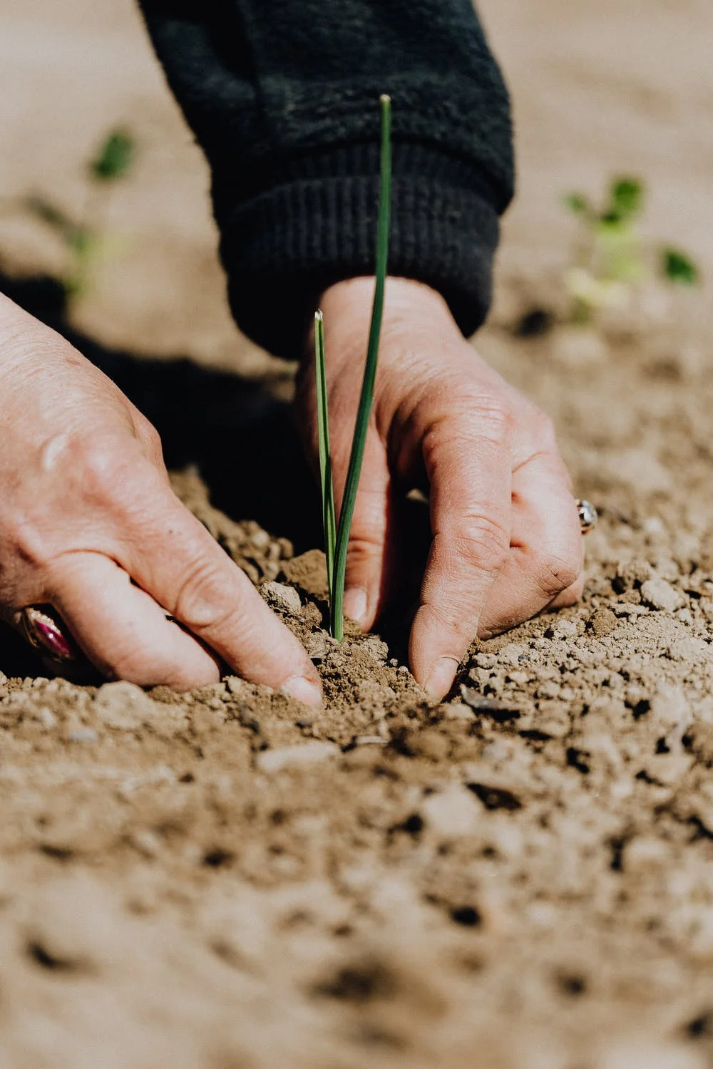 Gardening is good therapy